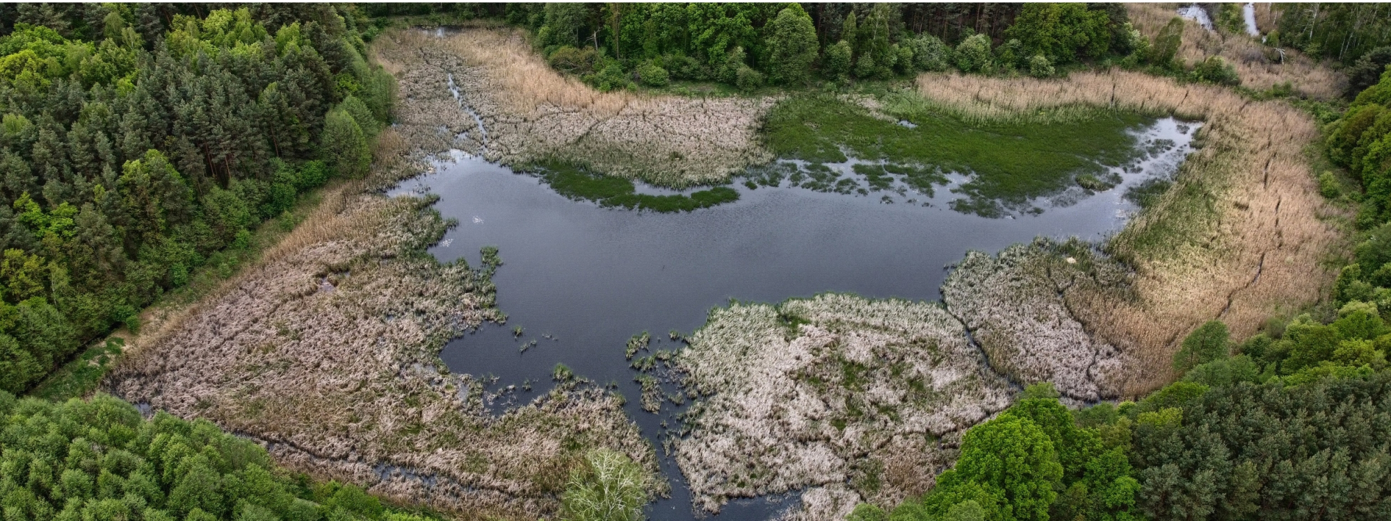 Park Krajobrazowy Stawki